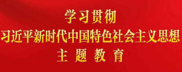 学习贯彻习近平新时代中国特色社会主义思想主题教育 学习贯彻习近平新时代中国特色社会主义思想主题教育